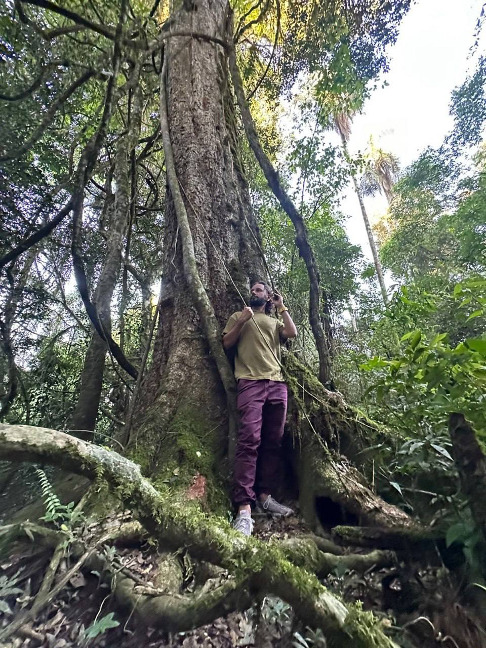 Амазония не покоряется. С ней договариваются.